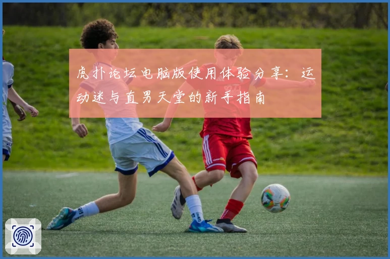 虎扑论坛电脑版使用体验分享：运动迷与直男天堂的新手指南